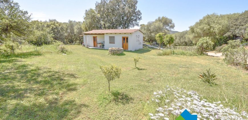Bauernhaus Zum Verkaufen Loiri Porto San Paolo