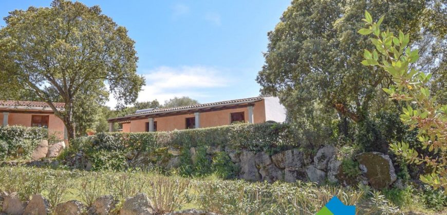 Bauernhaus Zum Verkaufen Loiri Porto San Paolo