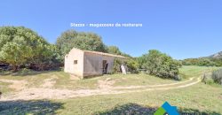 Bauernhaus Zum Verkaufen Loiri Porto San Paolo