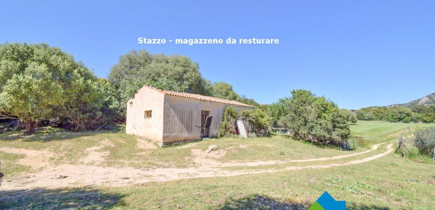 Bauernhaus Zum Verkaufen Loiri Porto San Paolo