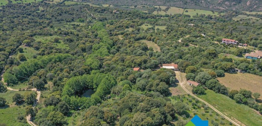 Bauernhaus Zum Verkaufen Loiri Porto San Paolo