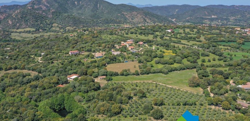 Bauernhaus Zum Verkaufen Loiri Porto San Paolo