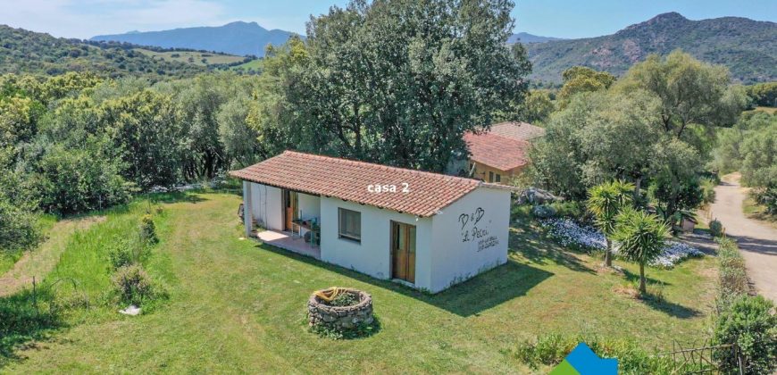Bauernhaus Zum Verkaufen Loiri Porto San Paolo