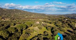 Stazzo In Vendita  Sardegna Ref. Su Canale