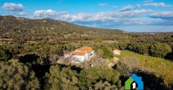 Stazzo In Vendita  Sardegna Ref. Su Canale