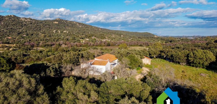 Stazzo In Vendita  Sardegna Ref. Su Canale