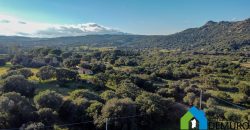Stazzo In Vendita  Sardegna Ref. Su Canale