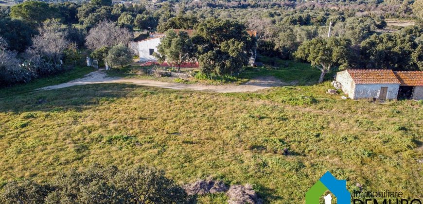 Stazzo In Vendita  Sardegna Ref. Su Canale