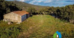 Stazzo In Vendita  Sardegna Ref. Su Canale