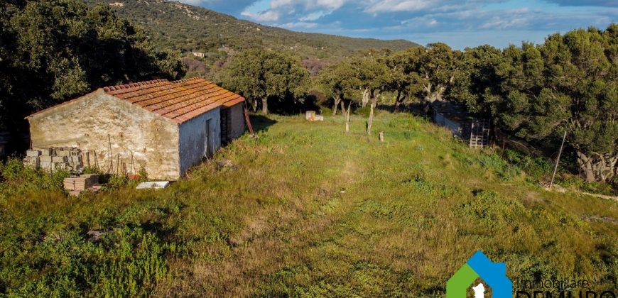 Stazzo In Vendita  Sardegna Ref. Su Canale