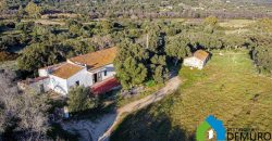 Stazzo In Vendita  Sardegna Ref. Su Canale