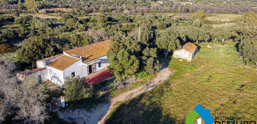 Stazzo In Vendita  Sardegna Ref. Su Canale
