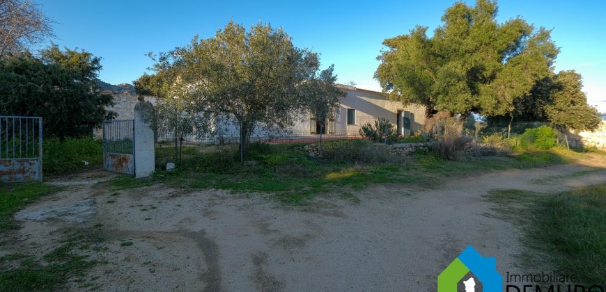 Stazzo In Vendita  Sardegna Ref. Su Canale