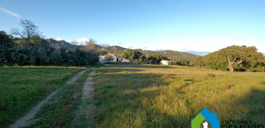 Stazzo In Vendita  Sardegna Ref. Su Canale