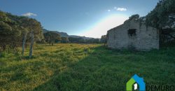 Stazzo In Vendita  Sardegna Ref. Su Canale