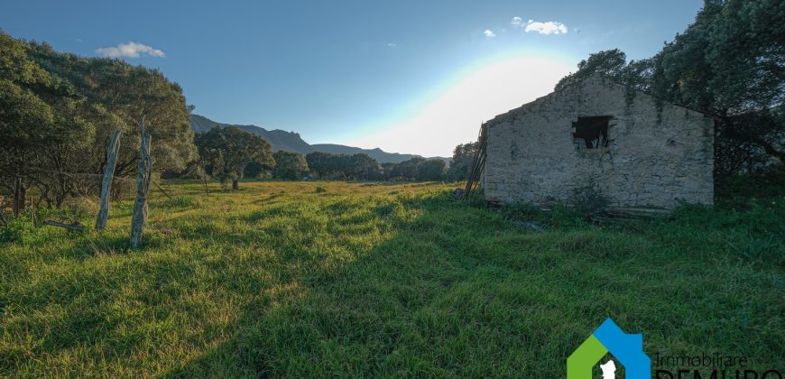 Stazzo In Vendita  Sardegna Ref. Su Canale