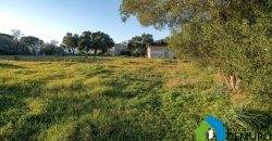 Stazzo In Vendita  Sardegna Ref. Su Canale