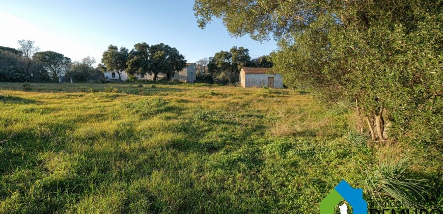 Stazzo In Vendita  Sardegna Ref. Su Canale