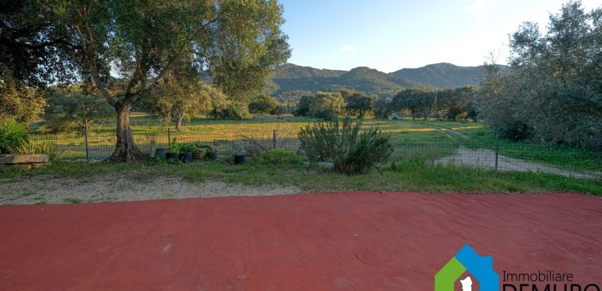 Stazzo In Vendita  Sardegna Ref. Su Canale