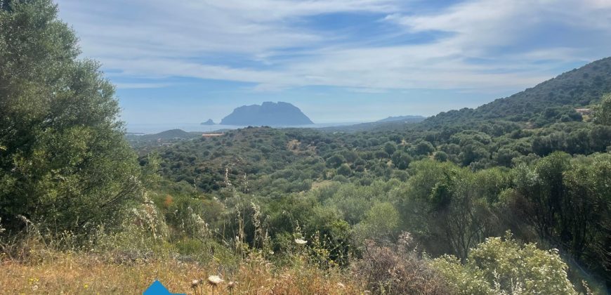 Rustico con Vista Mare Porto Istana Ref. Usai