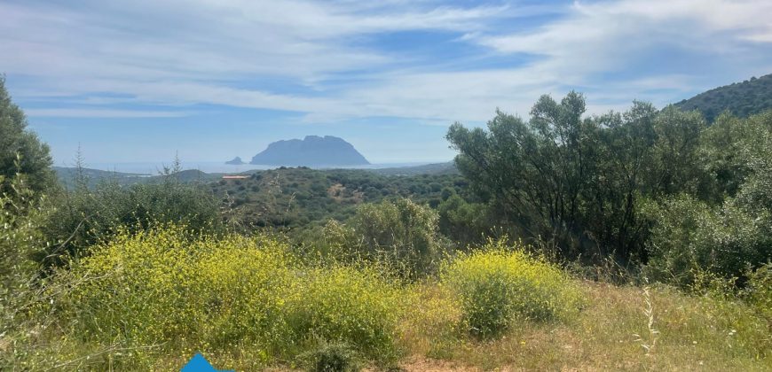 Rustico con Vista Mare Porto Istana Ref. Usai