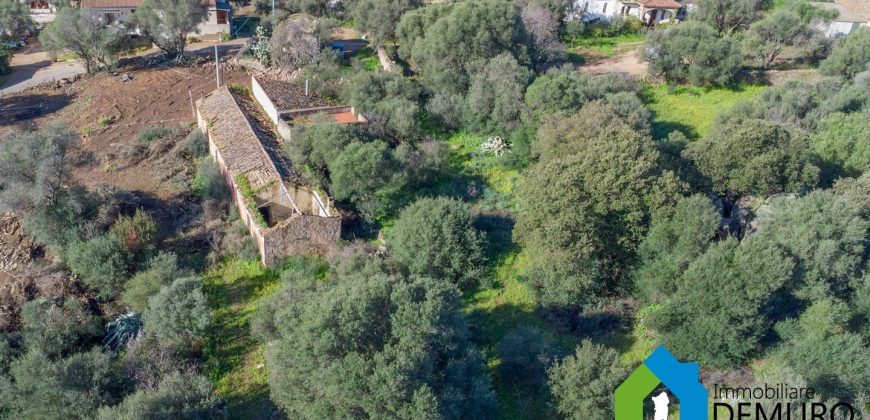 Stazzo in vendita a Loiri Porto San Paolo