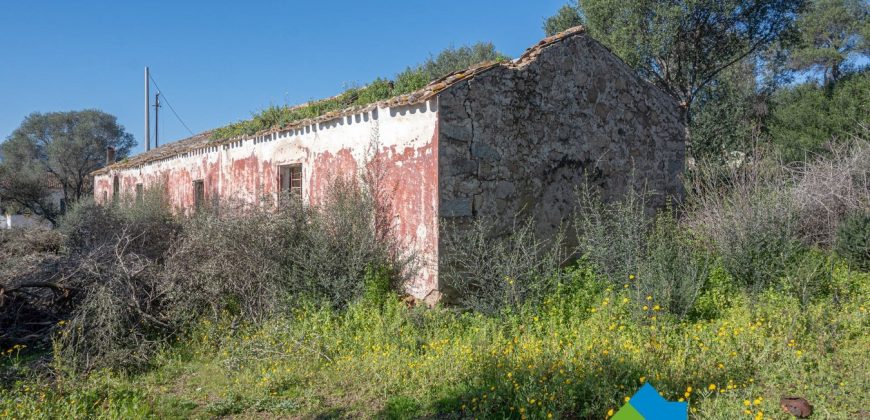 Stazzo in vendita a Loiri Porto San Paolo