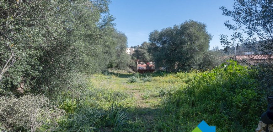 Stazzo in vendita a Loiri Porto San Paolo