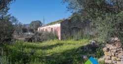 Stazzo in vendita a Loiri Porto San Paolo