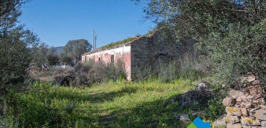 Stazzo in vendita a Loiri Porto San Paolo