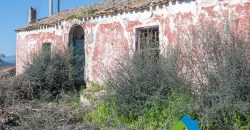 Stazzo in vendita a Loiri Porto San Paolo
