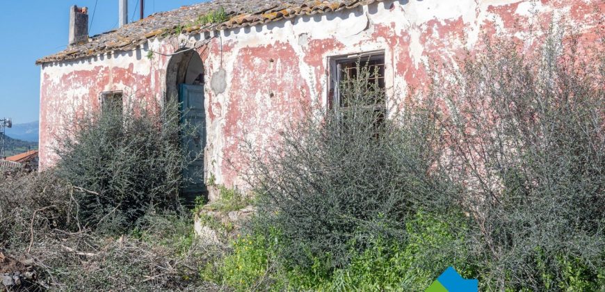 Stazzo in vendita a Loiri Porto San Paolo