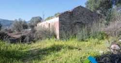 Stazzo in vendita a Loiri Porto San Paolo
