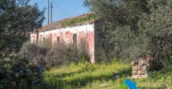 Stazzo in vendita a Loiri Porto San Paolo