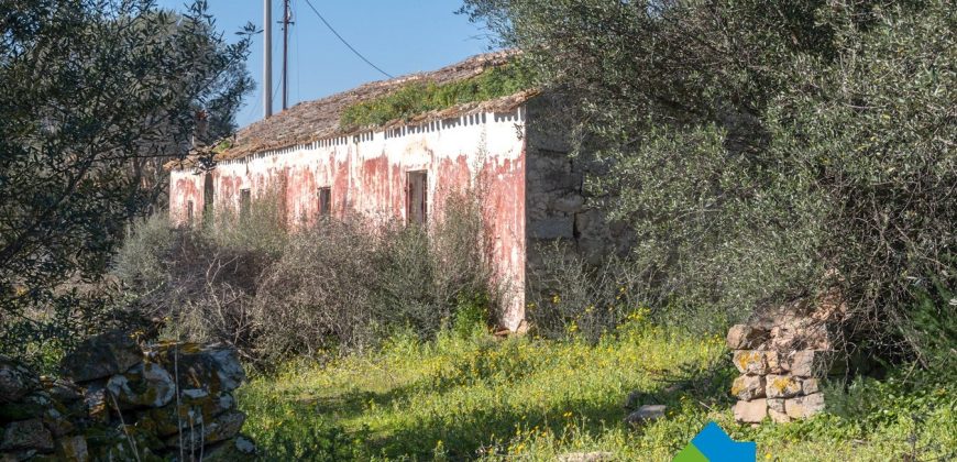 Stazzo in vendita a Loiri Porto San Paolo
