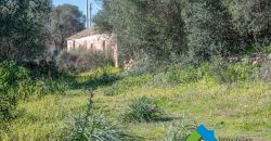 Stazzo in vendita a Loiri Porto San Paolo