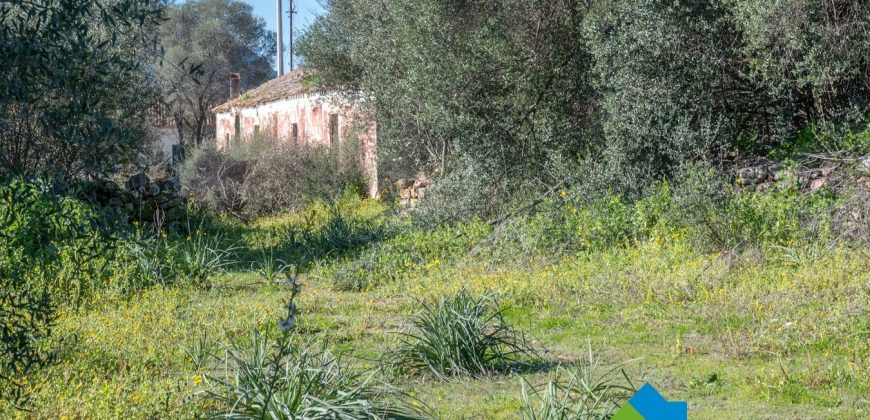 Stazzo in vendita a Loiri Porto San Paolo