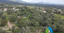 Casa indipendente campagna  in vendita Olbia ref Spiegana