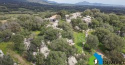 Casa indipendente campagna  in vendita Olbia ref Spiegana