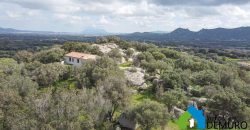 Casa indipendente campagna  in vendita Olbia ref Spiegana