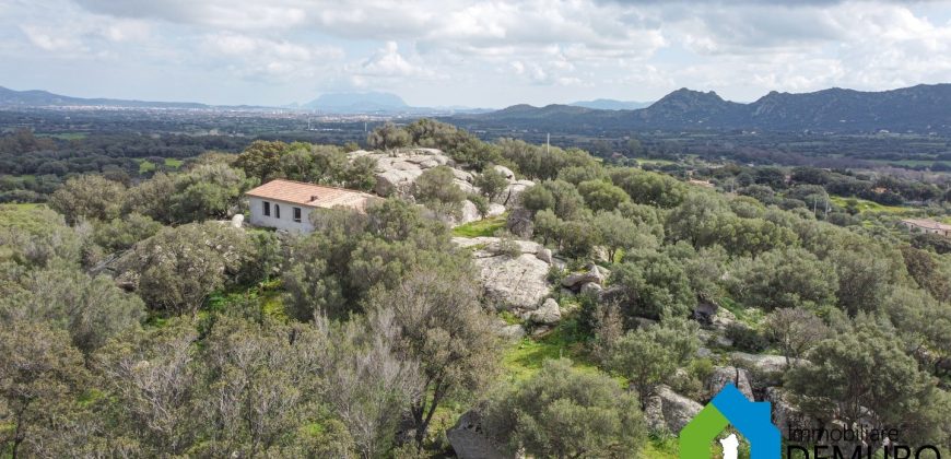 Casa indipendente campagna  in vendita Olbia ref Spiegana