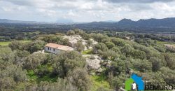 Casa indipendente campagna  in vendita Olbia ref Spiegana