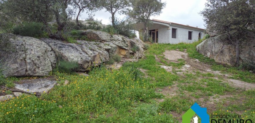 Casa indipendente campagna  in vendita Olbia ref Spiegana