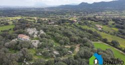 Casa indipendente campagna  in vendita Olbia ref Spiegana