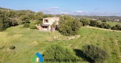 Stazzu For Sale In Arzachena
