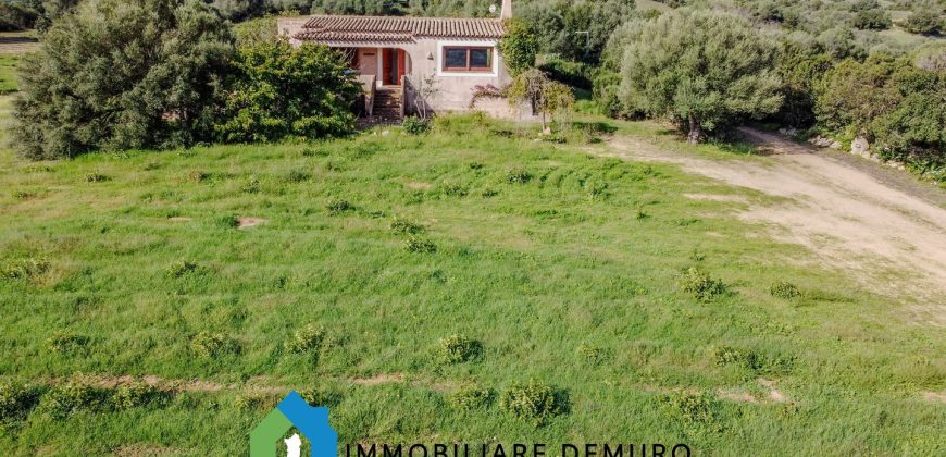 Stazzu For Sale In Arzachena