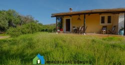 Stazzu For Sale In Arzachena