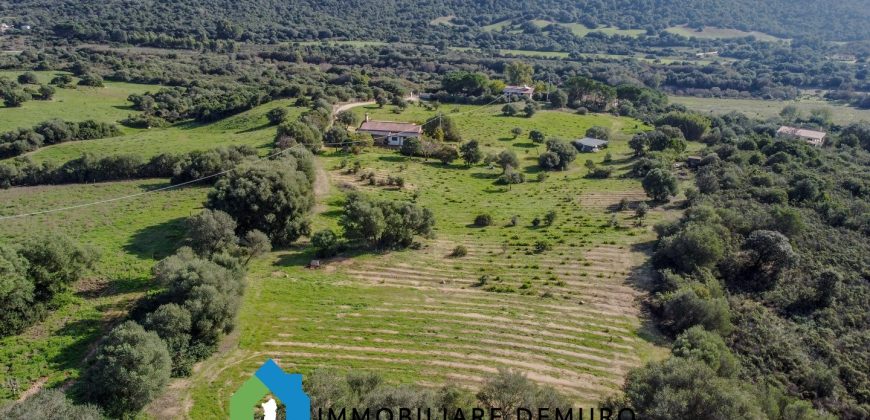 Stazzu For Sale In Arzachena