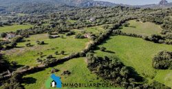 Stazzu For Sale In Arzachena