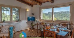 Stazzu For Sale In Arzachena